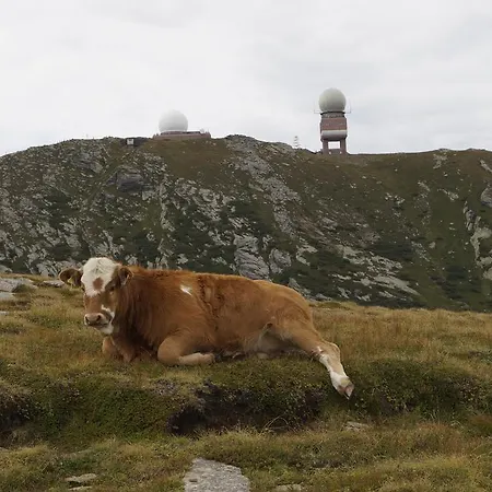 Gasthof Martinhof Hotel Sankt Martin im Sulmtal